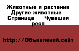 Животные и растения Другие животные - Страница 2 . Чувашия респ.